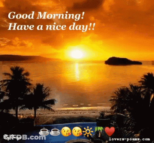 Sunset Saying Good Morning Have A Nice Day GIF