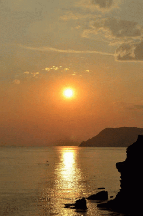 Sunset Shimmer GIF