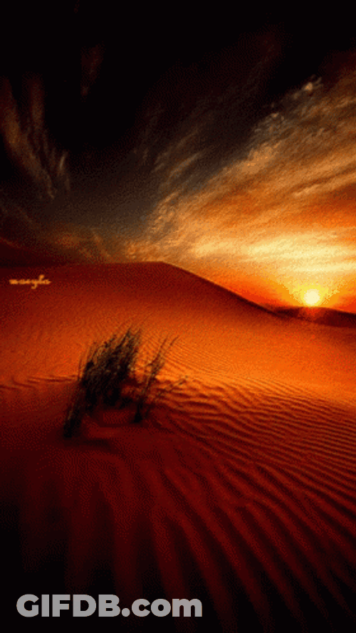 Sunset Storm Desert GIF