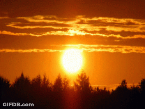 Sunset Sun Shining Through Clouds And Trees GIF