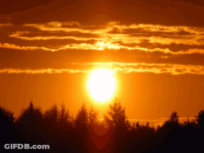 Sunset Sun Shining Through Clouds And Trees GIF