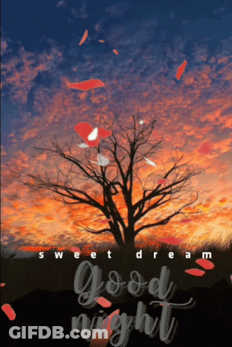 Sunset Tree Sweet Dream Good Night GIF