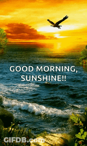 Sunset Water Good Morning Sunshine GIF