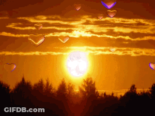 Sunset With Flying Hearts GIF