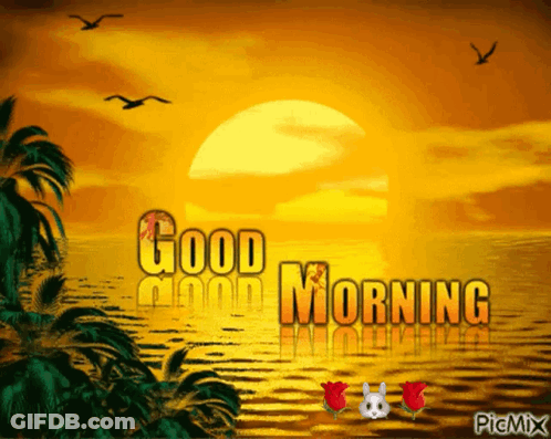 Sunset With Good Morning GIF