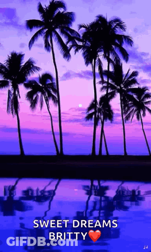 Sunset With Palm Trees Sweet Dreams Britty GIF