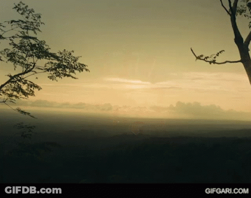 Sunset With Tree And Gifgari.com GIF