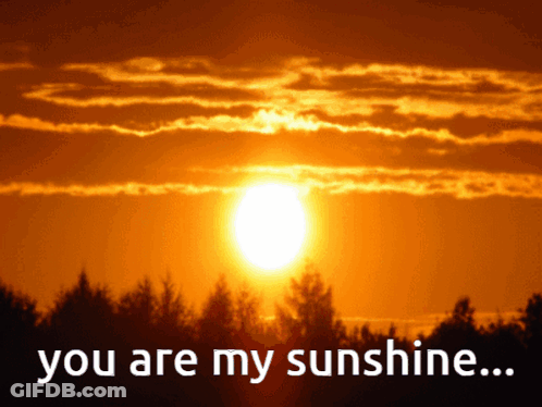 Sunset With You Are My Sunshine GIF