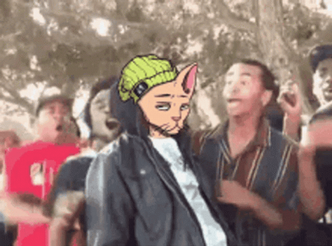 Supa Hot Fire Cats On Crack GIF