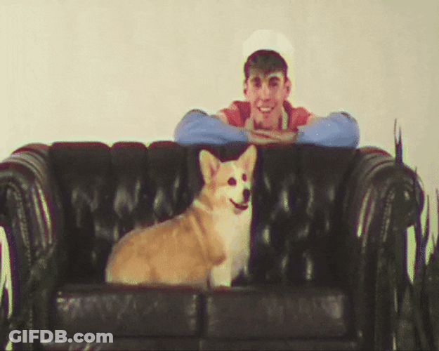 Super Behave Dog Meme GIF