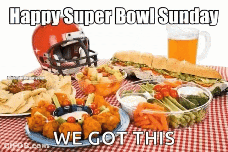 Super Bowl Picnic Party We Got This GIF