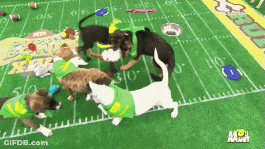 Super Bowl Puppy Bowl Parody GIF