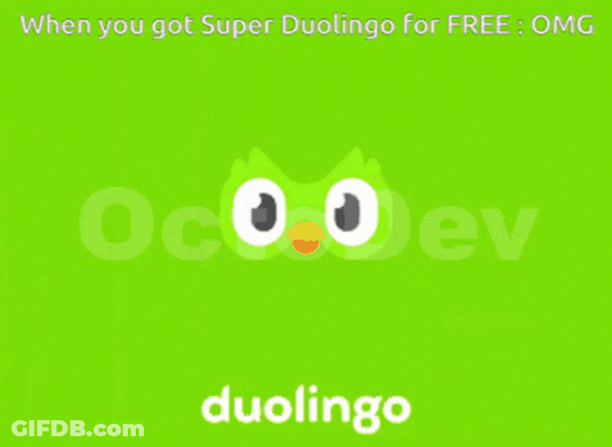 Super Duolingo Meme GIF
