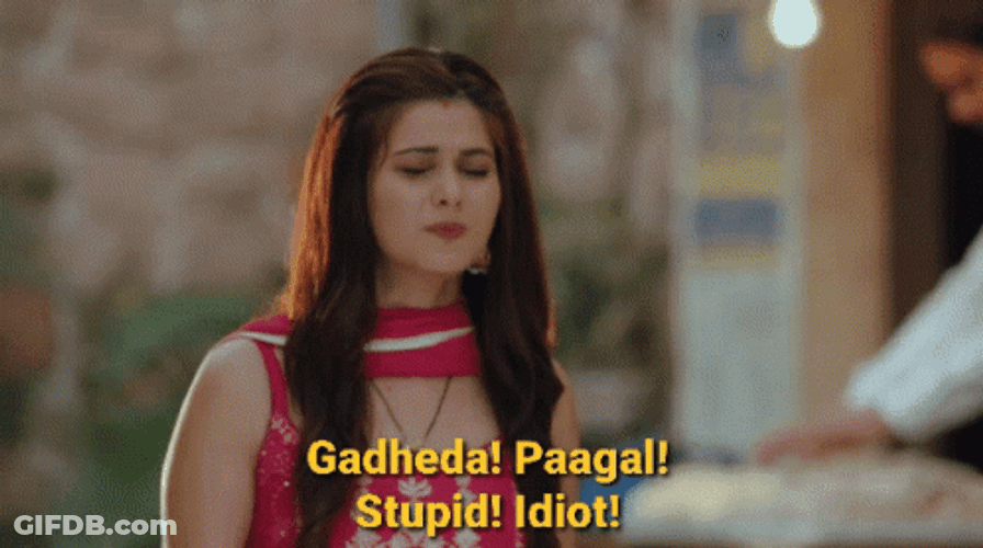 Super Idiot Lady GIF