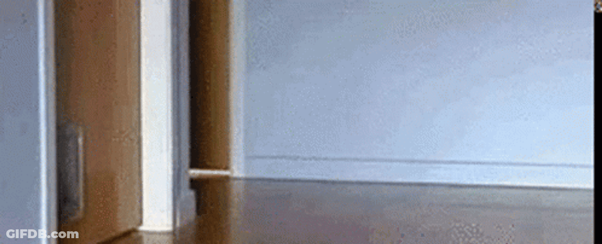 Super Mario Cat Running GIF