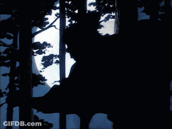 Super Moon Featuring Ninjas In The Forest GIF