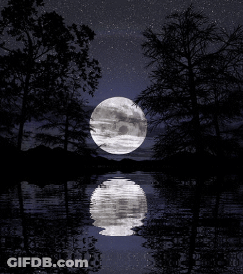 Super Moon Reflecting On Water GIF