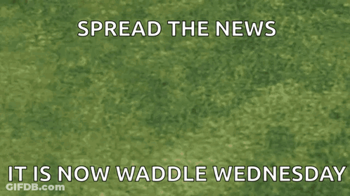 Super Smash Bros Waddle Dee GIF