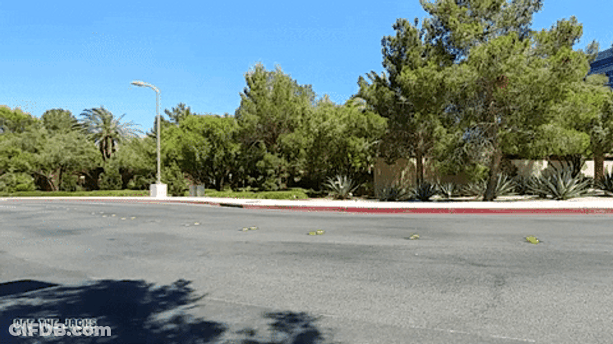 Super Sports Car Chevy Topless GIF