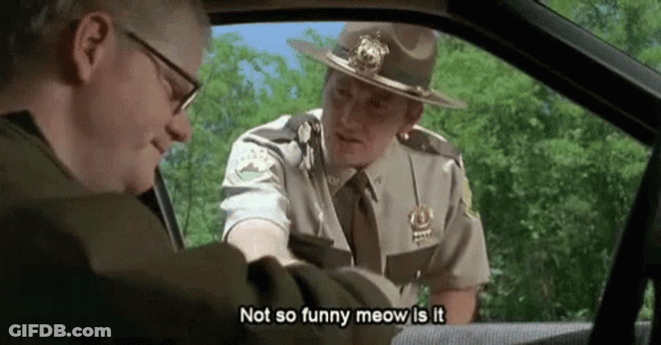 Super Troopers Not So Funny GIF