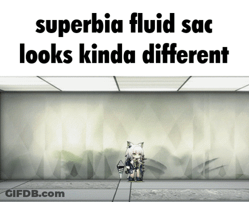 Superbia Fluid Sac Looks Kinda Different Written On A White Wall GIF