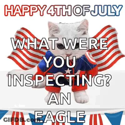 Superhero Cat Happy 4Th July What Inspecting Eagle GIF