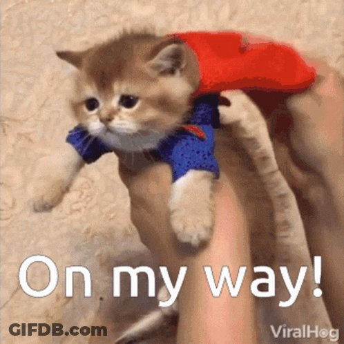 Superhero Kitten Saying On My Way GIF