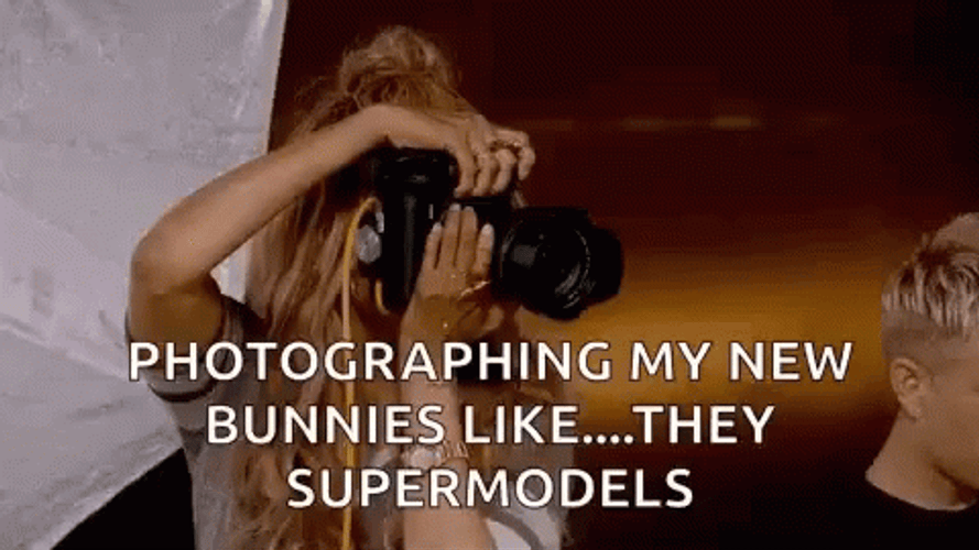 Supermodel Photographer GIF
