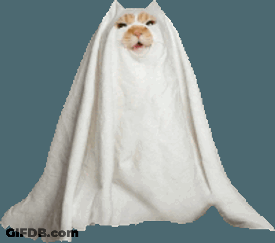 Supernatural Spooky Sticker GIF