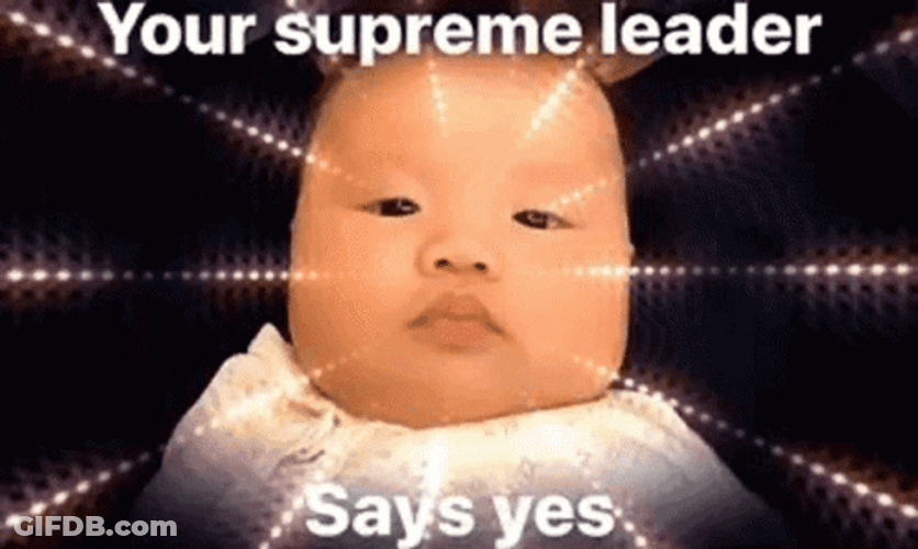 Supreme Leader Cute Baby Say Yes Meme GIF