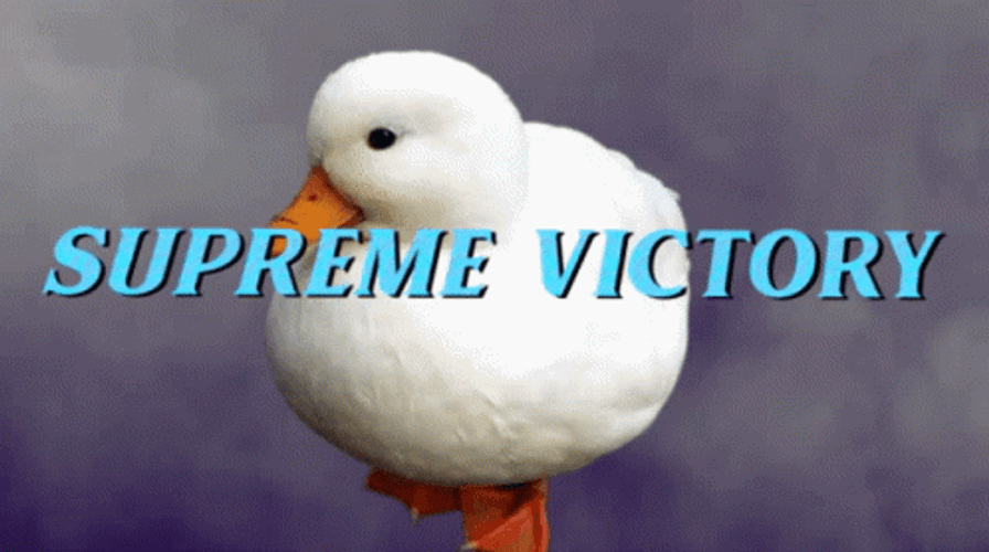 Supreme Victory Duck Wins Meme GIF