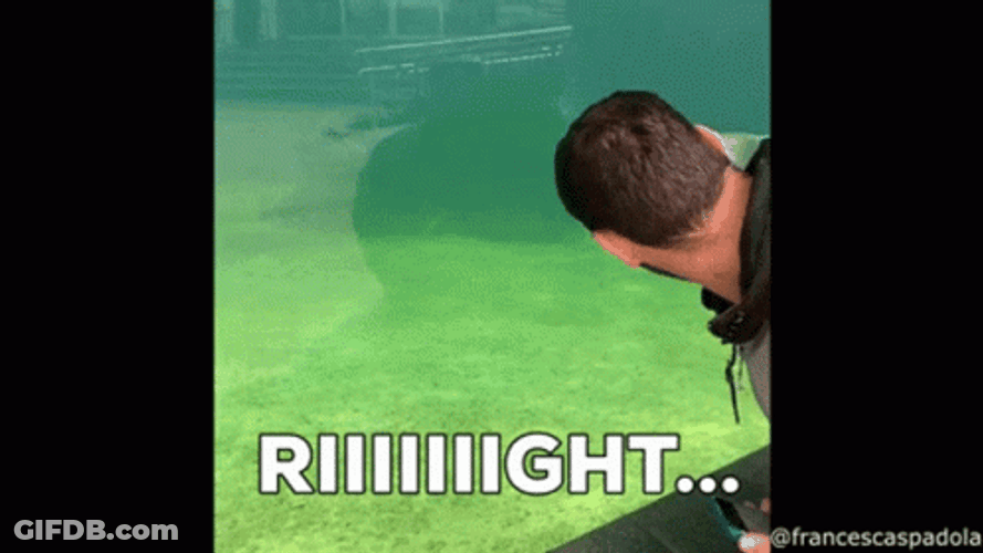 Sure Jan That's Right GIF