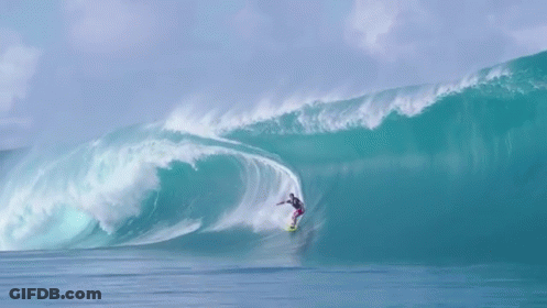 Surfer Riding A Wave GIF
