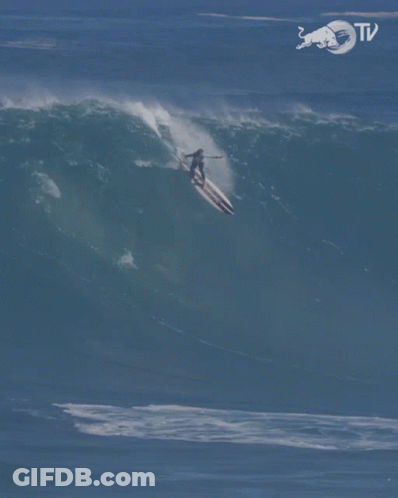 Surfer Riding Wave With Bull TV Logo GIF