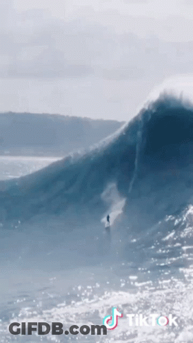 Surfer Riding Wave With TikTok Logo GIF