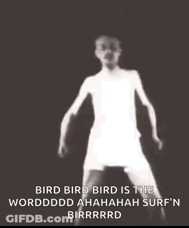 Surfin Bird The Word Is Uta Bar GIF
