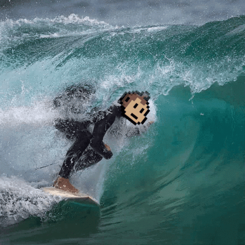 Surfing Monkey Baby Business GIF