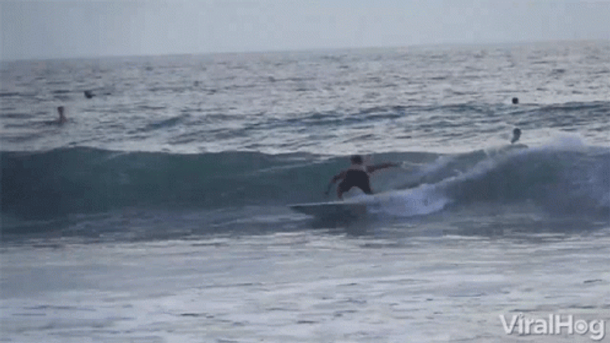 Surfing Surfer Crash Wave GIF