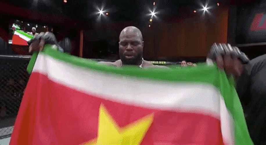 Suriname Jairzinho Rozenstruik Flag GIF