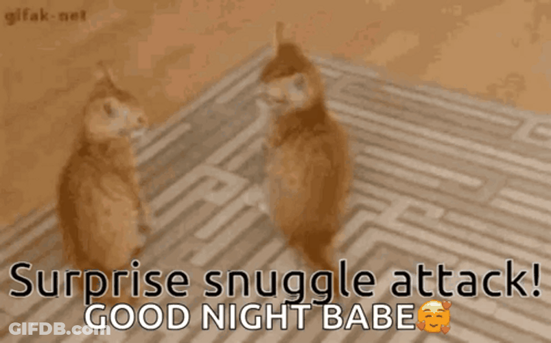 Surpise Snuggles Attack Good Night Babe GIF