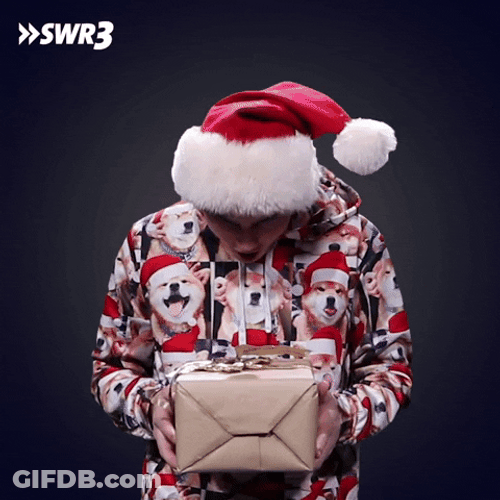 Surprise Gift Merry Christmas Meme GIF