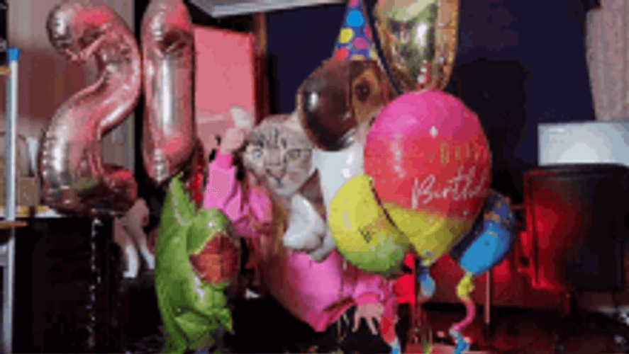 Surprise Helium Birthday Balloons Celebrate GIF