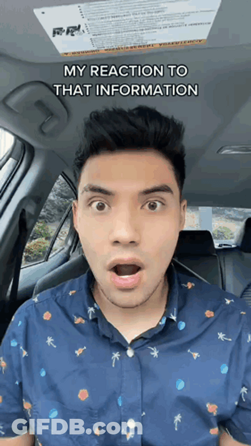 Surprise Information Surprise Meme GIF