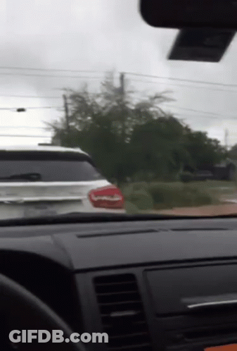 Surprise Rainy Day GIF