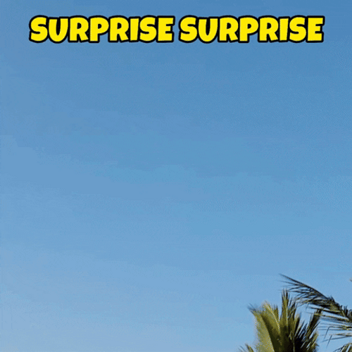 Surprise Surprise Awkward Filipina Vlogger GIF