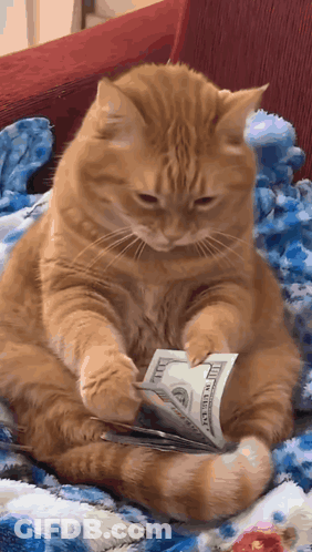 Surprised Boy Saying Aww GIF