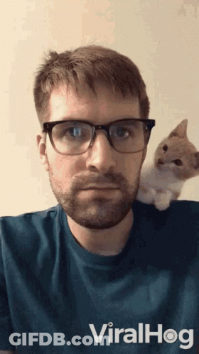 Surprised Cartoon Cat GIF