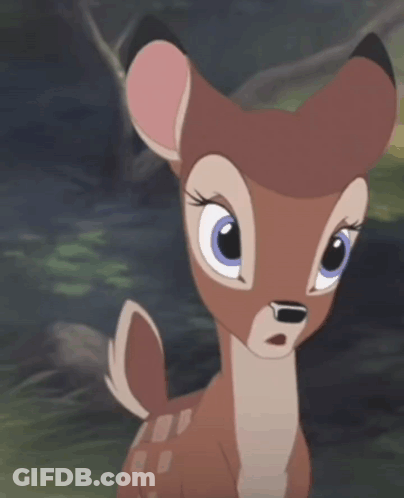 Surprised Cartoon Deer Close Up GIF