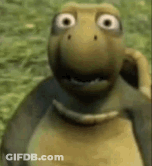 Surprised Cartoon Turtle In Grass GIF