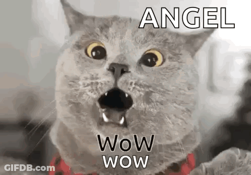 Surprised Cat Angel Wow Wow GIF